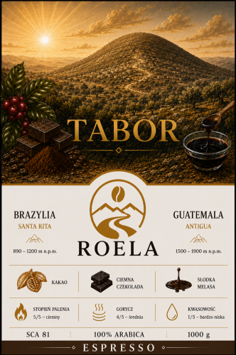 TABOR 1000g.png